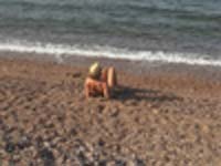 שלוות סיני המפורסמת על החוף בביאר סוויד / צילום: באדיבות שרה גלב