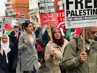 הפגנה של הארגונים הפלסטינים בלונדון / צילום: טל שניידר