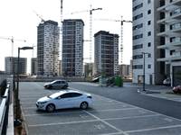 כרמי גת / צילום: אייל פישר