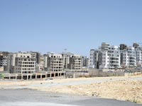 חריש / צילום: תמר מצפי