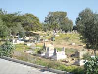 בית הקברות ביפו /  צילום: איל יצהר