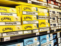 סיגריות camel / צילום: shutterstock