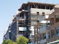 תמא ברעננה / צילום: שלומי יוסף