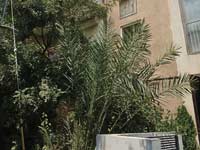 רחוב שלום עליכם 49 תל אביב / צילום: איל יצהר