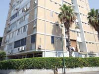 רחוב הפיקוס ביפו / צילום : איל יצהר