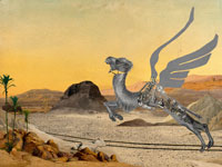 גמלים עפים באוויר/ צילום: עיחצ שבוע העיצוב