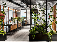 השטח ש-Playtika שכרה בהרצליה פיתוח / אדריכלות ועיצוב סטודיו: רואי דוד, צלם: איתי בנית