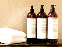 בקבוקוני טואלטיקה של רשת המלונות הייאט / צילום: הייאט