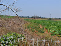 קרקע חקלאית / צילום: גיל ארבל