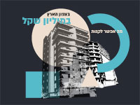 מה אפשר לקנות במיליון שקל בצפון הארץ / אילוסטרציה: טלי בוגדנובסקי