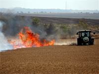 שריפה בצד הישראלי ליד גבול עזה במאי האחרון / צילום: אמיר כהן, רויטרס