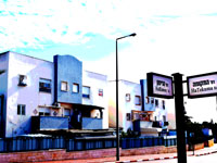 מוצרים תחליפיים, נדלן / צילום: בר אל