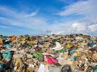 פסולת פלסטיק בחופים  / צילום : Shutterstock א.ס.א.פ קריאייטיב 