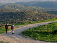 נוף על שביל ישראל בין עין קובי  לנתיב הלה/ צילום: בן מאור