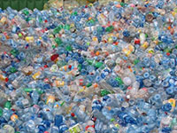 מערום בקבוקי פלסטיק בפיקדון, מפעל עיבוד אלה אשדוד / צילום: יוני רייף