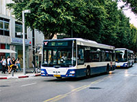 נת"צ בתל אביב / צילום: shutterstock, שאטרסטוק