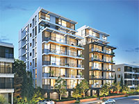 עץ הסיגלון מרחוב פרופסור שור 5–7 ניצל, בינתיים / צילום: יח"צ