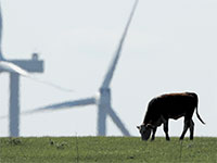 שדה תחנות רוח. האם הבנקים המרכזיים יקצו משאבים לתמיכה? / צילום: Charlie Riedel, Associated Press