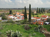 נחלה במושב. לרשות המקומית יותר משתלם שהרוכש ישלם את ההיטל / צילום: shutterstock, שאטרסטוק