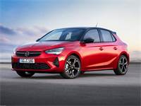 אופל קורסה / צילום: יח"צ