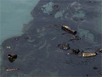 זיהום נפט בים / צילום: שאטרסטוק