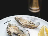 צדפות ב Popular - הגרסה האלגנטית, עם קרח ולימון / צילום: Ariel Efron