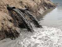 זיהום הסביבה/  צילום:  Shutterstock/ א.ס.א.פ קריאייטיב