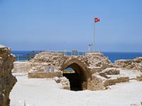 אפולוניה / צילום: איל מיטראני