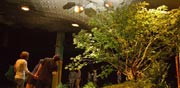 פארק תת קרקעי בניו יורק, Lowline, ריאות ירוקות, חדשנות / צילום: וידאו
