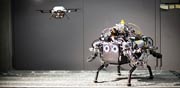 רובוט שעוקב אחרי מפה של רחפן / צילום:  ETH Zurich