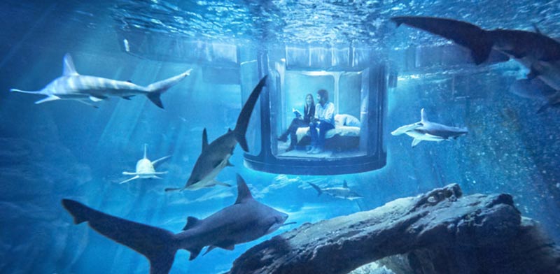 סוויטה מתחת למים / צילום: airbnb