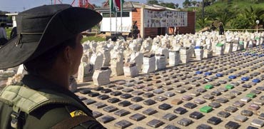הרשויות בקולומביה החרימו 8 טון של קוקאין בשווי 240 מיליון דולר / צילום: רויטרס