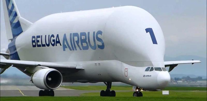 מטוס תובלה ענקי, תעופה, איירבוס, Airbus Beluga / צילום: וידאו