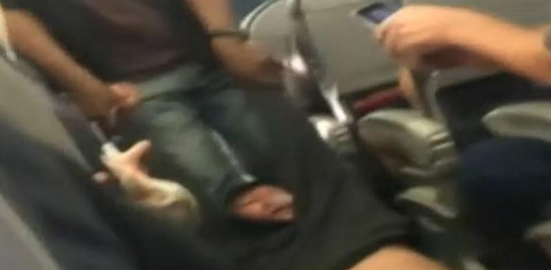 יונייטד איירליינס, נוסע מורד בכח מטיסה / צילום: מתוך היוטיוב
