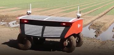רובוט חקלאות / צילום: מתוך הוידאו