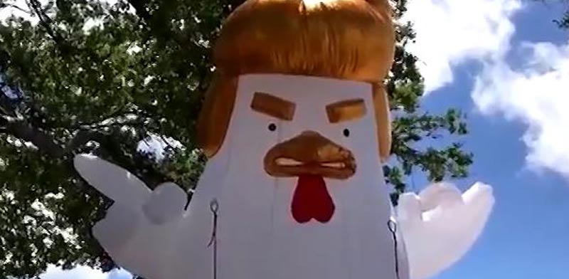 דונאלד טראמפ, תרנגולת/ צילום: מתוך הוידאו