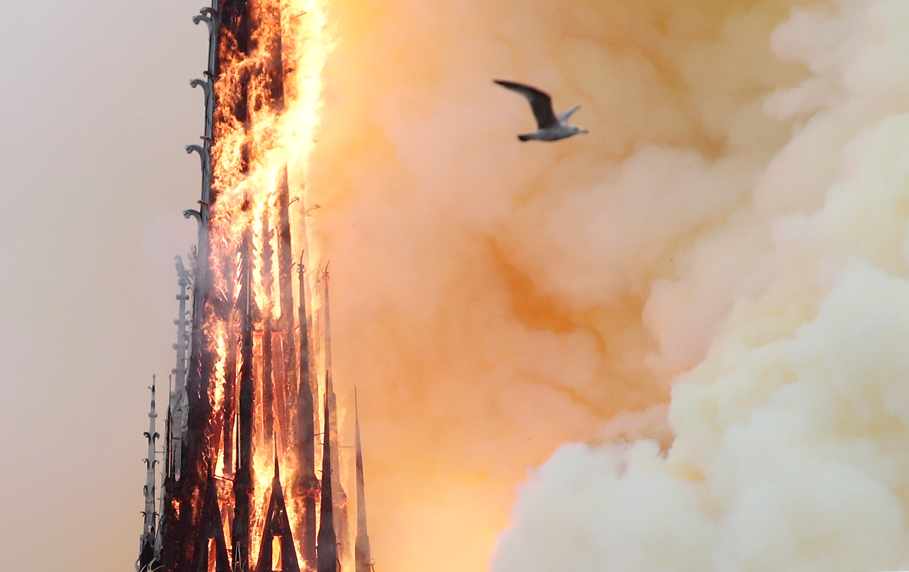 קתדרלת נוטרדאם נשרפת / צילום: Benoit Tessier, רויטרס