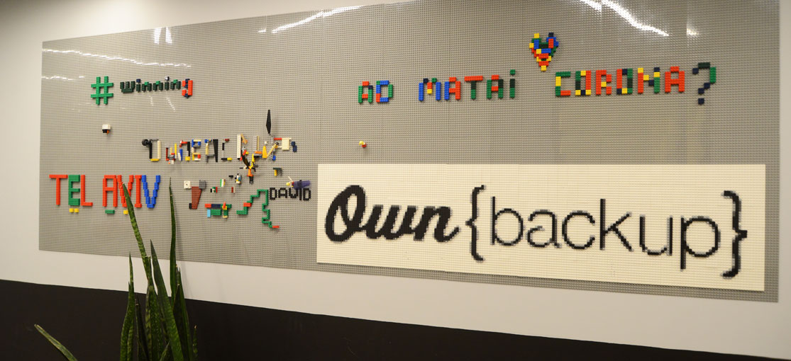 OwnBackup - המשרדים והצוות / צילום: איל יצהר, גלובס