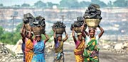 כורות פחם בהודו / צילום: רויטרס