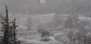 שלג בירושלים / צילום: איל יצהר