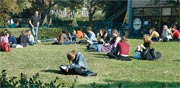 אוניברסיטת תל אביב / צילום: תמר מצפי