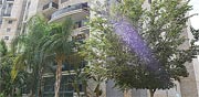 המלך שאול 8, קרית אונו / צילום: תמר מצפי