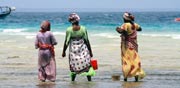 זנזיבר-נשים מקומיות / קרדיט: שאטרסטוק