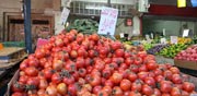 עגבניות / צילום: תמר מצפי