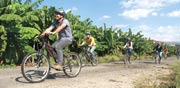 טיול אופניים במטעי הבננות של עין גב / צילום:גליה גוטמן