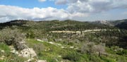 הרי ירושלים / צילום: דב גרינבלט