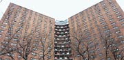 הארלם מנהטן פרוייקט דירות ציבורי / צילום: מירב מורן