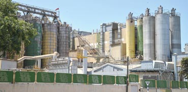 מפעל באשדוד. בישראל רק 5% מהמפעלים חוברו לגז טבעי, לעומת 28% במדינות OECD / צילום: תמר מצפי