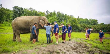 שמורת הפילים בצפון תאילנד / צילום: גיא יחיאלי