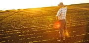 ג'י גרופ - קרקעות חקלאיות / צילום: Shutterstock/ א.ס.א.פ קרייטיב